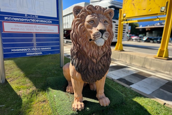 SCULPTURE LEON - NEUSUS URBAN