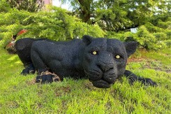 SCULPTURE PANTERA - NEUSUS URBAN