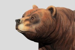 Sculpture ours en caoutchouc recyclé – Neusus Urban