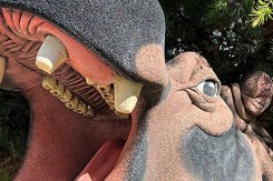 Hippopotame sculpté Neusus Urban | Sculpture hippopotame XXL