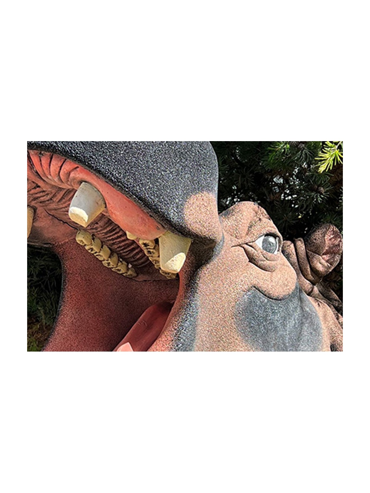 Hippopotame sculpté Neusus Urban | Sculpture hippopotame XXL