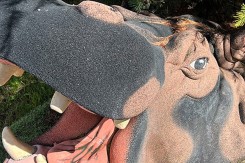 Hippopotame sculpté Neusus Urban | Sculpture hippopotame XXL