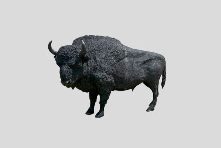 SCULPTURE BISON - NEUSUS URBAN
