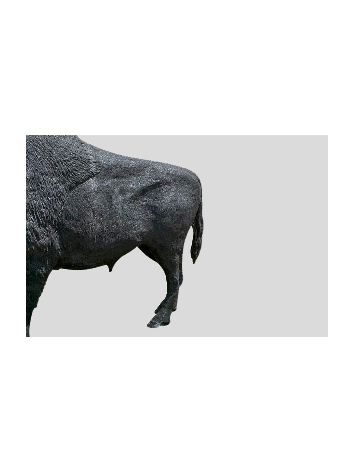 Sculpture bison – œuvre urbaine décorative | Neusus Urban