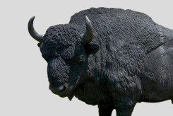 Sculpture bison – œuvre urbaine décorative | Neusus Urban