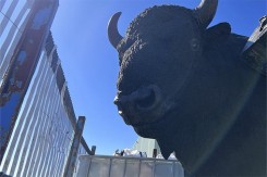 Sculpture bison – œuvre urbaine décorative | Neusus Urban