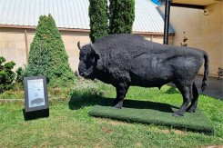 Escultura Bisonte Neusus Urban | Statue bison durable et design