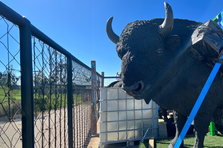 Escultura Bisonte Neusus Urban | Statue bison durable et design