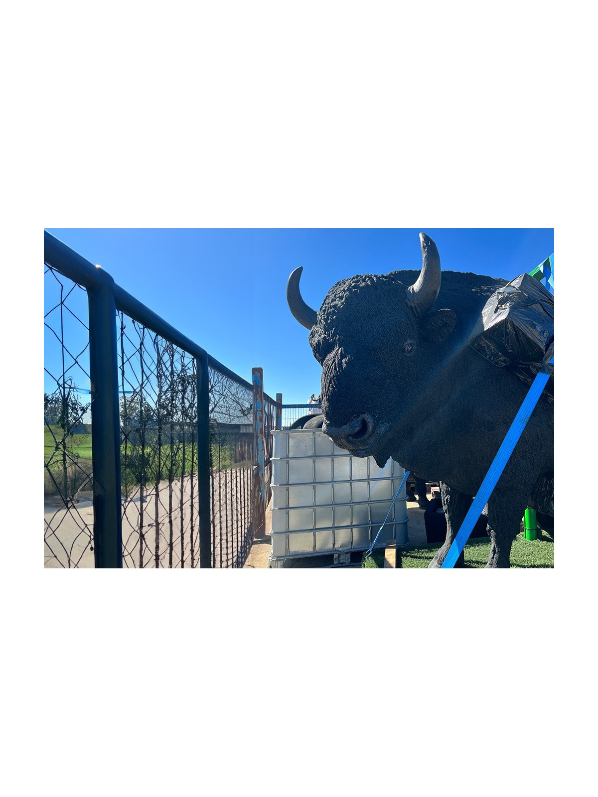 Escultura Bisonte Neusus Urban | Statue bison durable et design