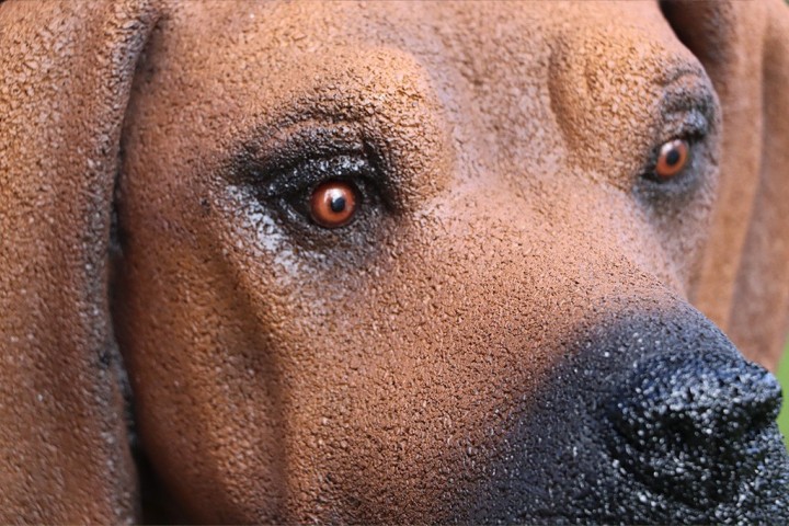 Sculpture Chien Neusus Urban | Déco éco‑responsable