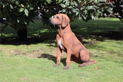 SCULPTURE CHIEN - NEUSUS URBAN