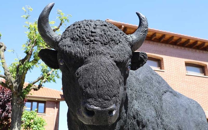 SCULPTURE BISON STATUE RÉALISTE D'ANIMAUX - NEUSUS URBAN
DÉCORATION EXTÉRIEURE POUR ZOO OU PARC