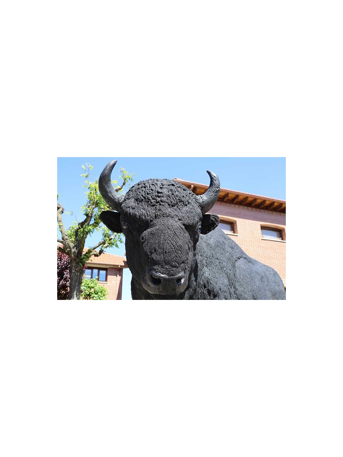 SCULPTURE BISON STATUE RÉALISTE D'ANIMAUX - NEUSUS URBAN
DÉCORATION EXTÉRIEURE POUR ZOO OU PARC