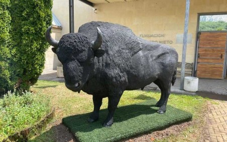 SCULPTURE BISON STATUE RÉALISTE D'ANIMAUX - NEUSUS URBAN
DÉCORATION EXTÉRIEURE POUR ZOO OU PARC