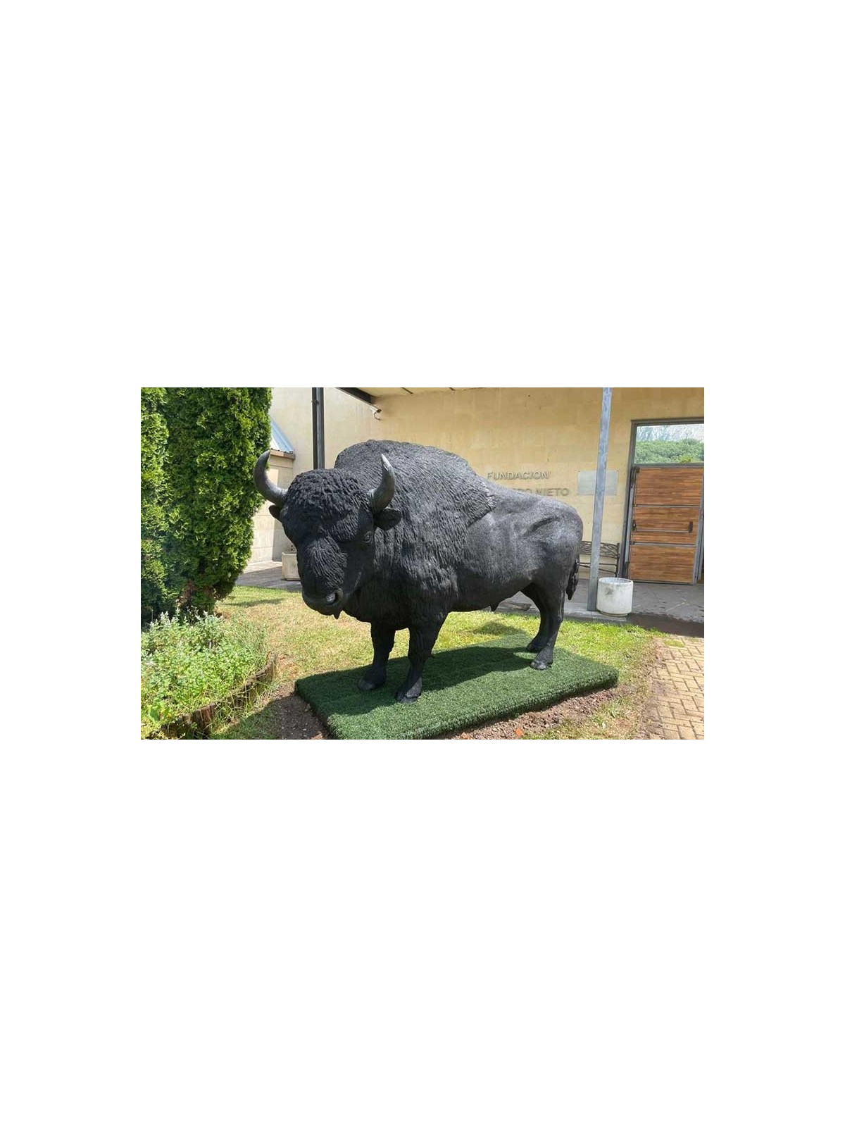 SCULPTURE BISON STATUE RÉALISTE D'ANIMAUX - NEUSUS URBAN
DÉCORATION EXTÉRIEURE POUR ZOO OU PARC