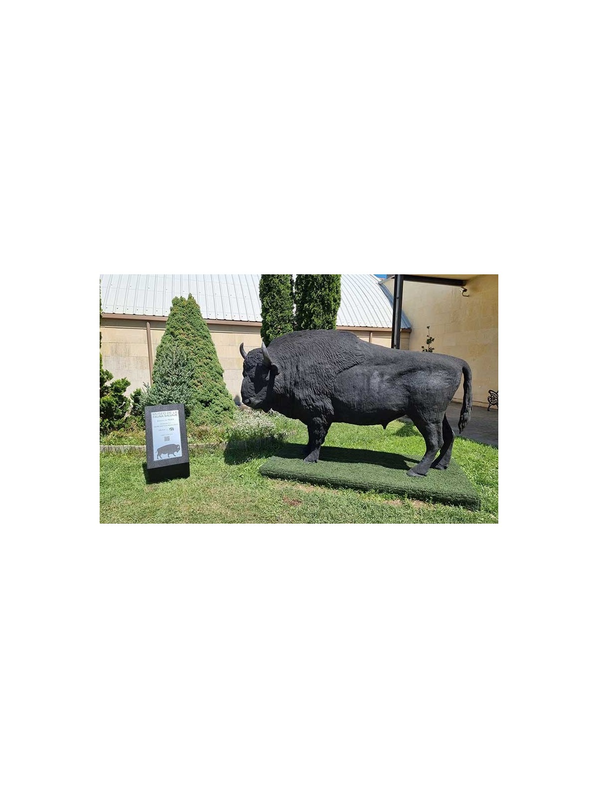 SCULPTURE BISON STATUE RÉALISTE D'ANIMAUX - NEUSUS URBAN
DÉCORATION EXTÉRIEURE POUR ZOO OU PARC
