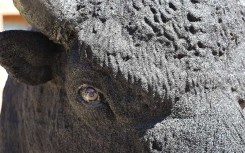 SCULPTURE BISON STATUE RÉALISTE D'ANIMAUX - NEUSUS URBAN
DÉCORATION EXTÉRIEURE POUR ZOO OU PARC