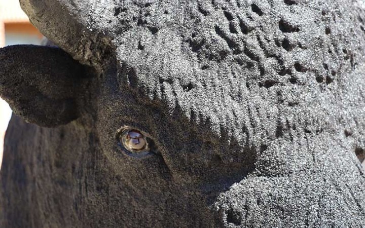 SCULPTURE BISON STATUE RÉALISTE D'ANIMAUX - NEUSUS URBAN
DÉCORATION EXTÉRIEURE POUR ZOO OU PARC