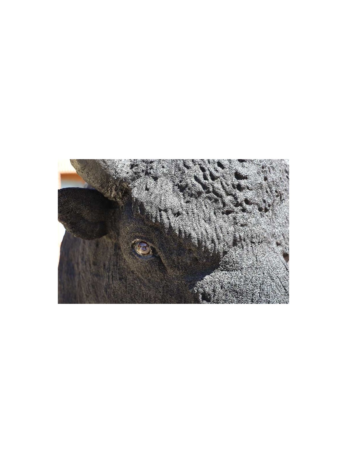 SCULPTURE BISON STATUE RÉALISTE D'ANIMAUX - NEUSUS URBAN
DÉCORATION EXTÉRIEURE POUR ZOO OU PARC