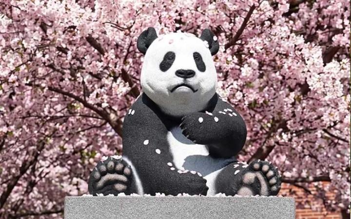 SCULPTURE RECYCLÉ PANDA - NEUSUS URBAN
DÉCORATION EXTÉRIEURE RÉALISTE POUR ZOO ESPACE PUBLIC OU COURS EXTÉRIEURE