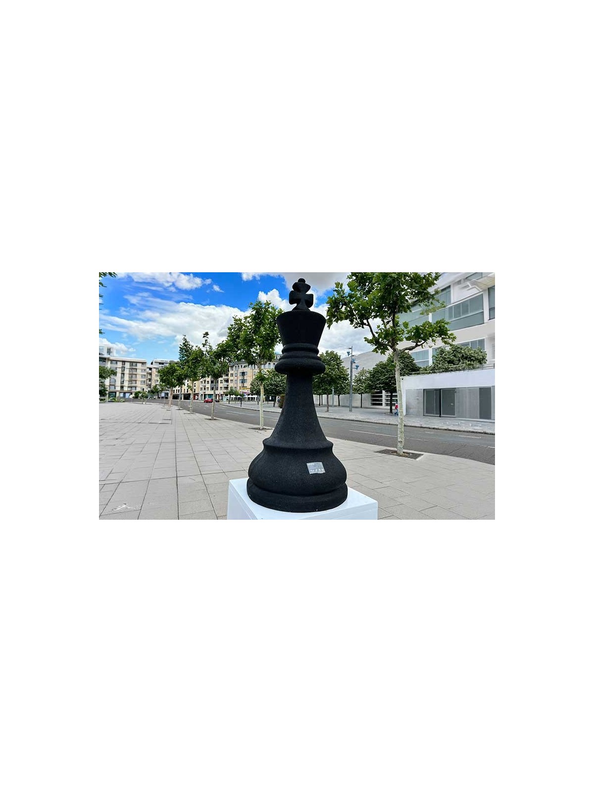 PION D’ÉCHEC GÉANT - ROI PNEU RECYCLÉ POUR ESPACE EXTÉRIEUR URBAIN
JEUX ÉCHEC TAILLE HUMAINE POUR COLLECTIVITÉ
