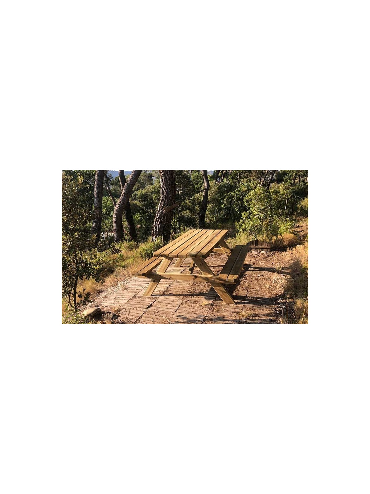 Une table de pique-nique bois STELLA économique pour les collectivités