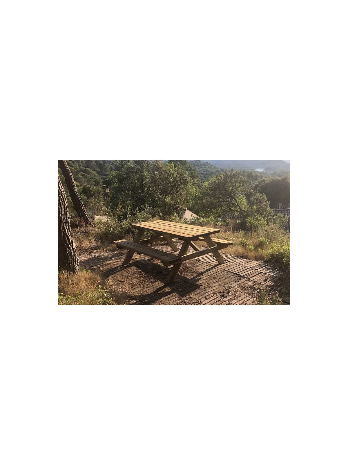 Une table de pique-nique bois STELLA économique pour les collectivités