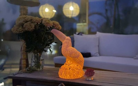 LAMPE TOUCAN EDEN