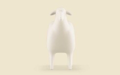 SHEEP