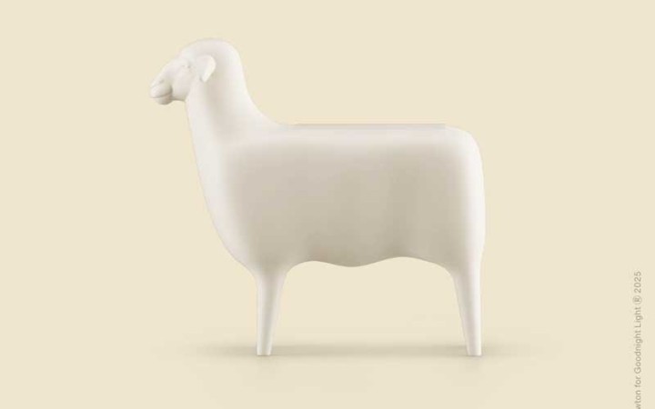 SHEEP