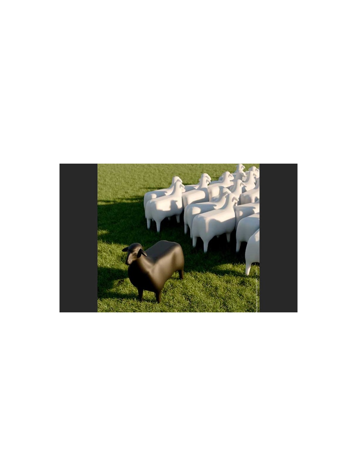 SHEEP