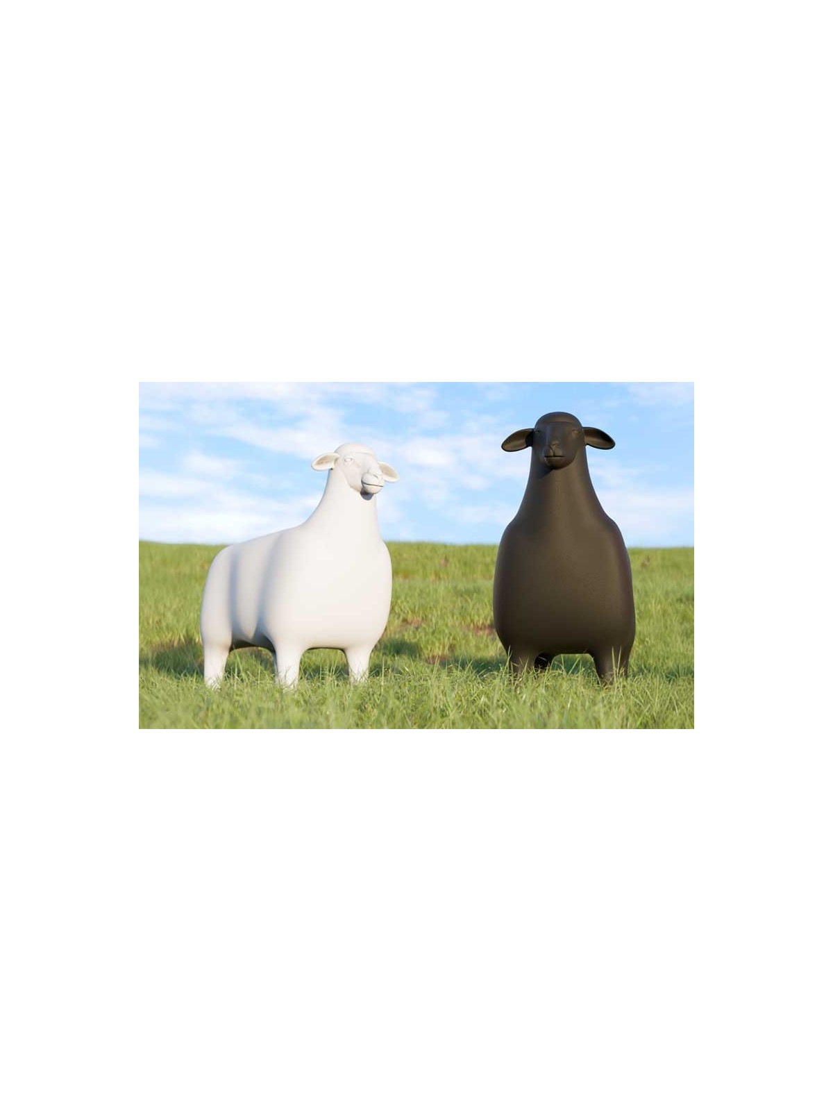 SHEEP