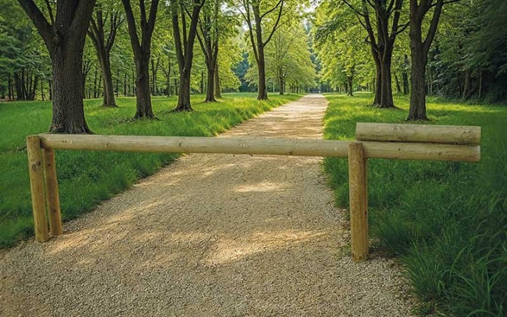 BARRIERE BASCULANTE RONDINS DE BOIS 3 M