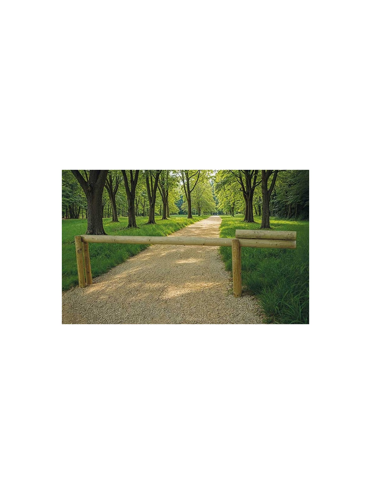 BARRIERE BASCULANTE RONDINS DE BOIS 3 M