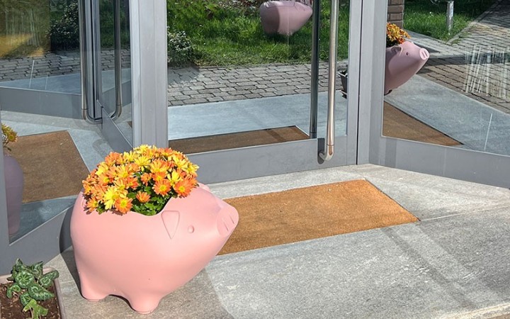 jardinière cochon design red hook