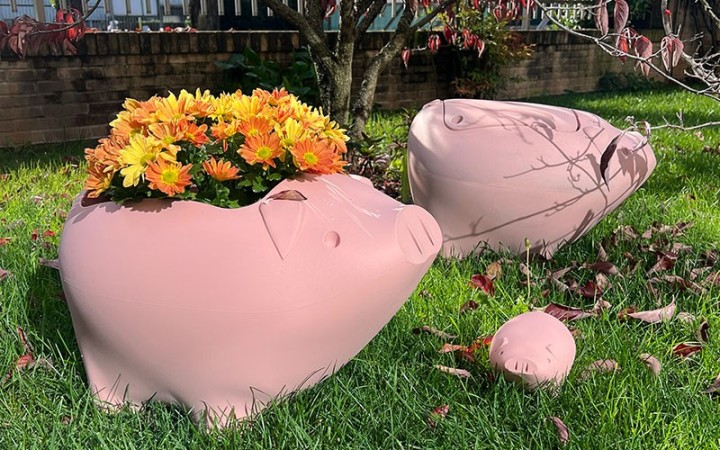 cochon design objet xxl deco