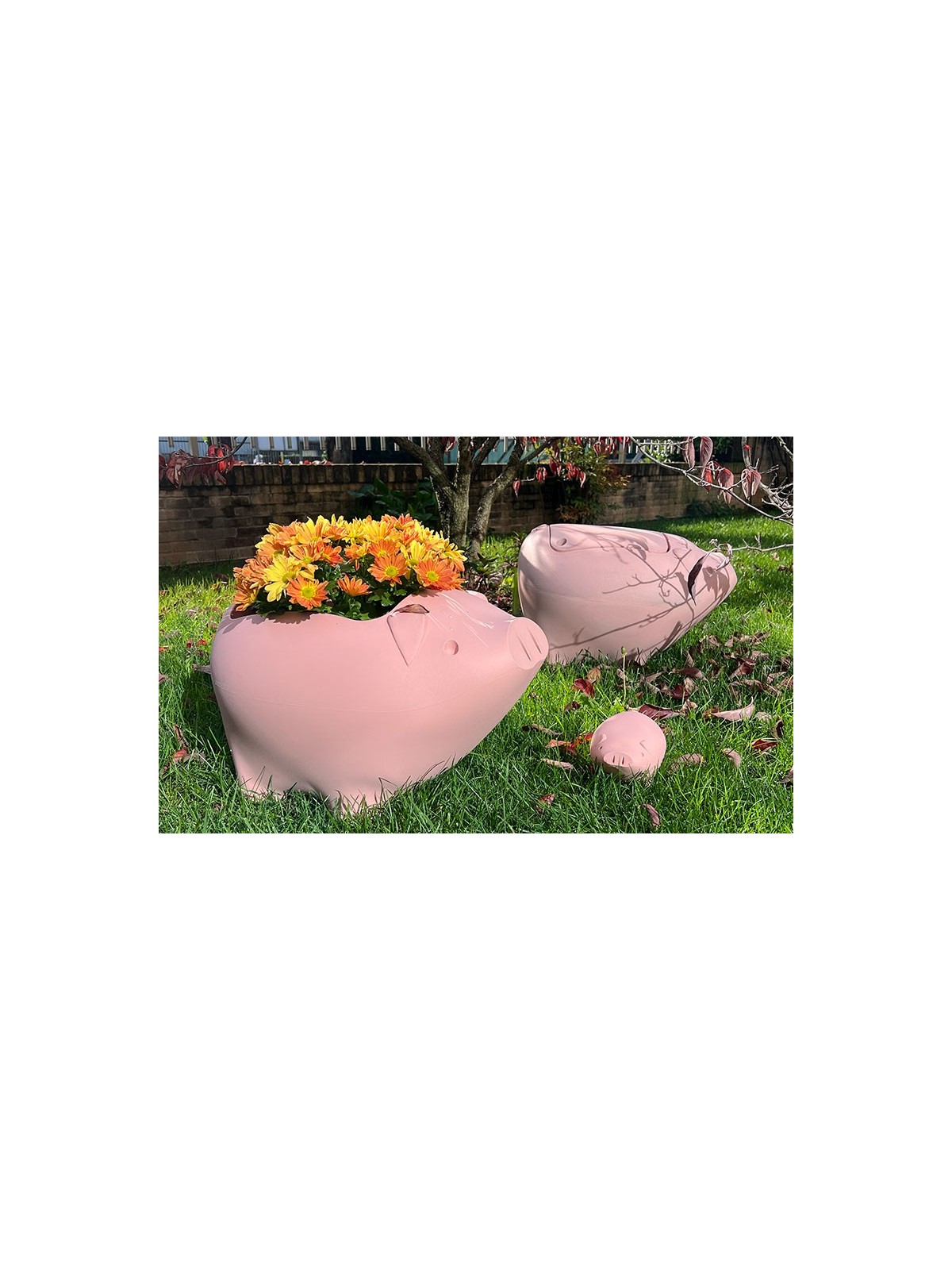 cochon design objet xxl deco