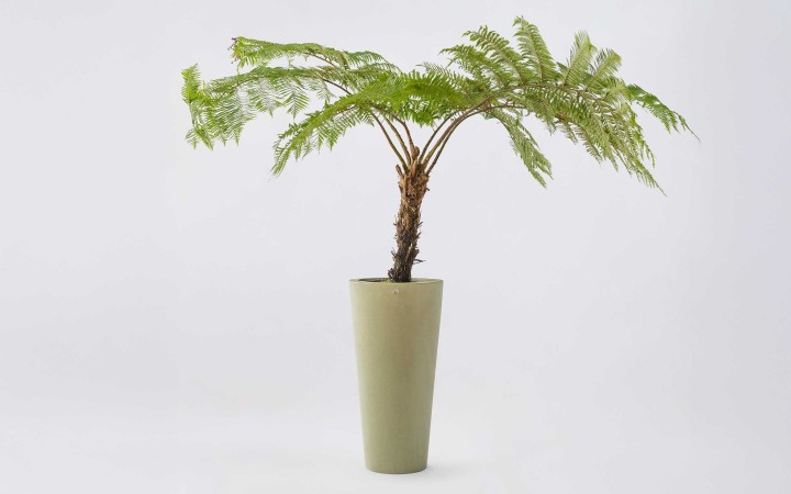 Pot design rond en polyéthylène pour espace extérieur