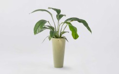 Pot design rond en polyéthylène pour espace extérieur
