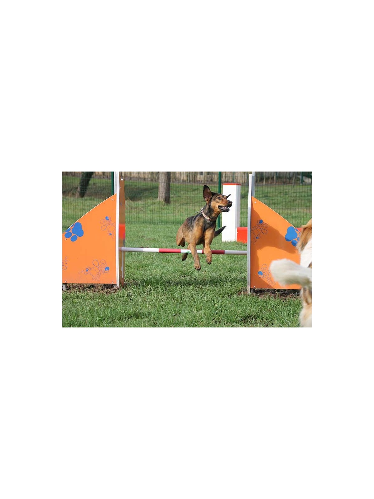 Module canin haie DOGGYPARC pour parc à chiens
Haie de saut réglable pour parcours d’agilité canine