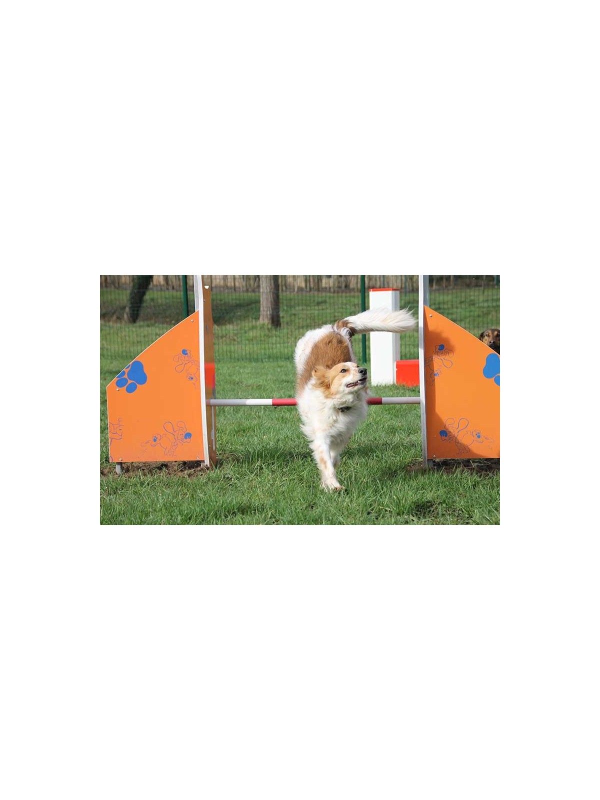 Module canin haie DOGGYPARC pour parc à chiens
Haie de saut réglable pour parcours d’agilité canine