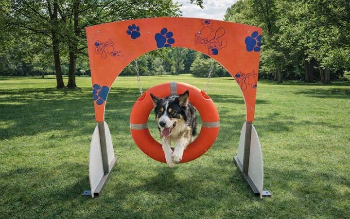 Module canin Pneu DOGGYPARC fabriqué en France
Équipement sportif pour parc à chiens communal