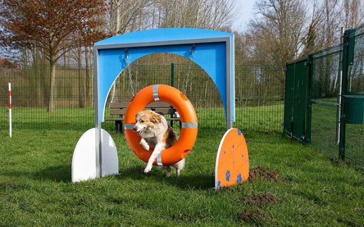 Module canin Pneu DOGGYPARC fabriqué en France
Équipement sportif pour parc à chiens communal