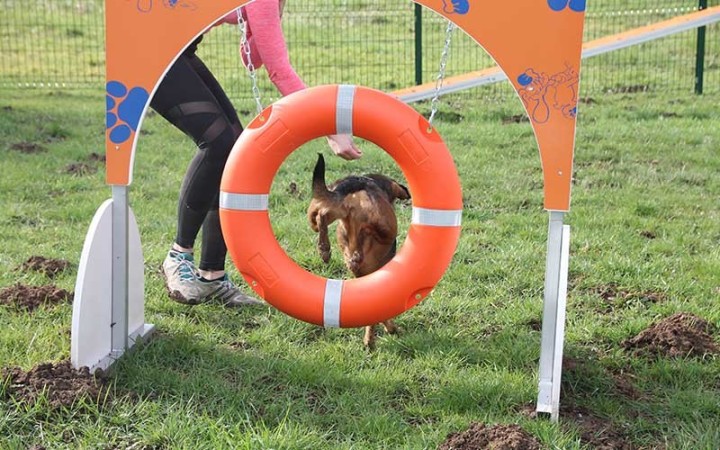 Module canin Pneu DOGGYPARC fabriqué en France
Équipement sportif pour parc à chiens communal