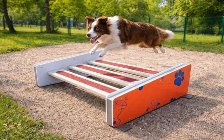 Saut en longueur pour chien DOGGYPARC | Module canin pour collectivité