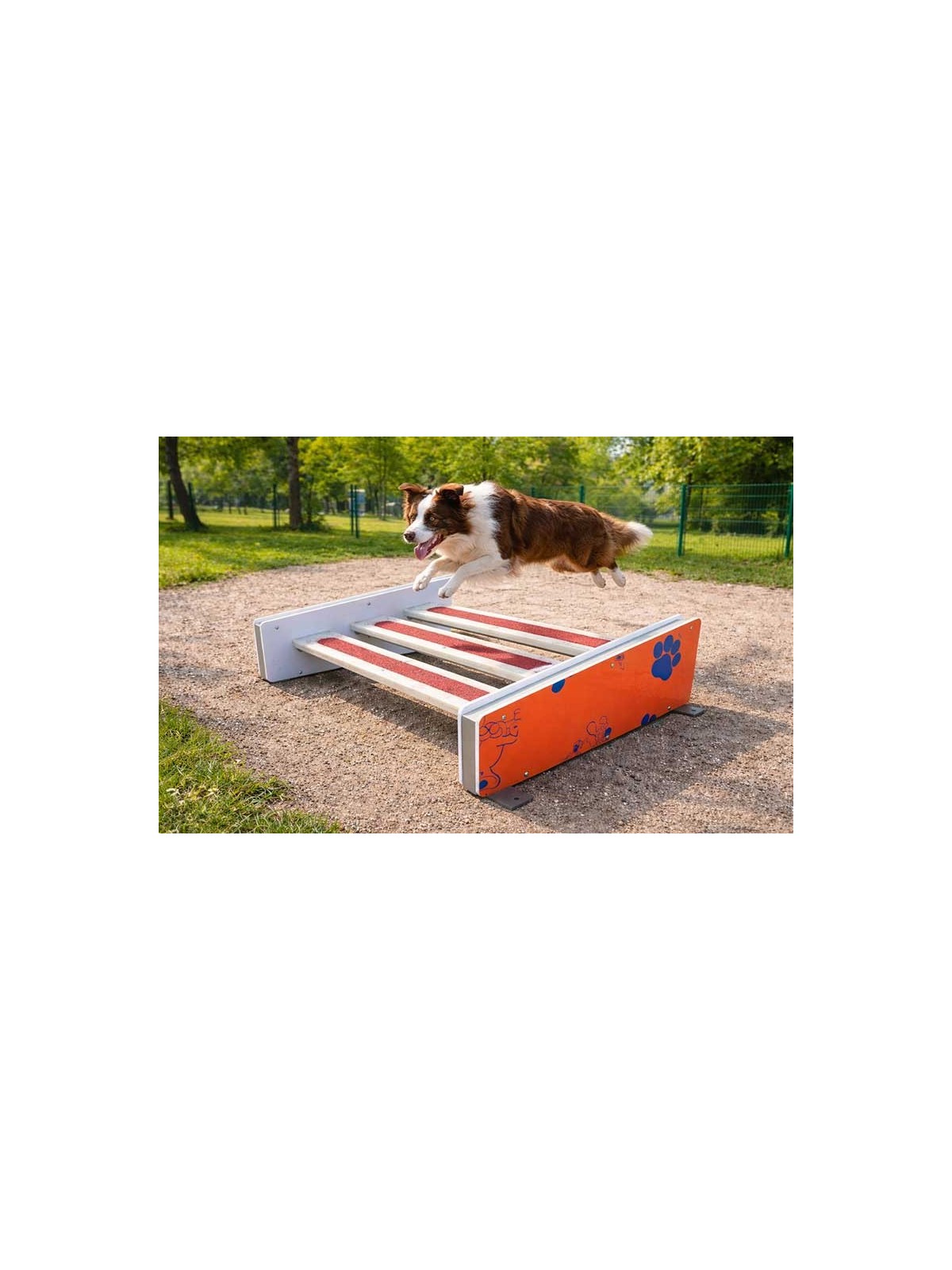 Saut en longueur pour chien DOGGYPARC | Module canin pour collectivité