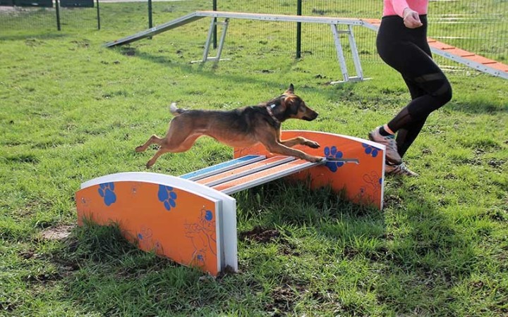 Saut en longueur pour chien DOGGYPARC | Module canin pour collectivité