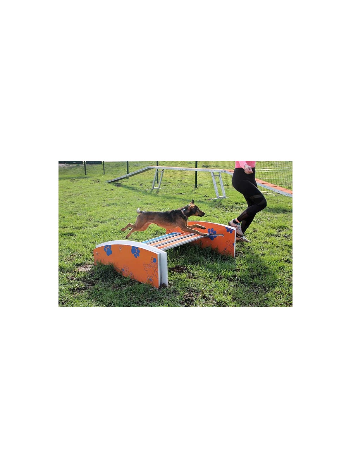 Saut en longueur pour chien DOGGYPARC | Module canin pour collectivité