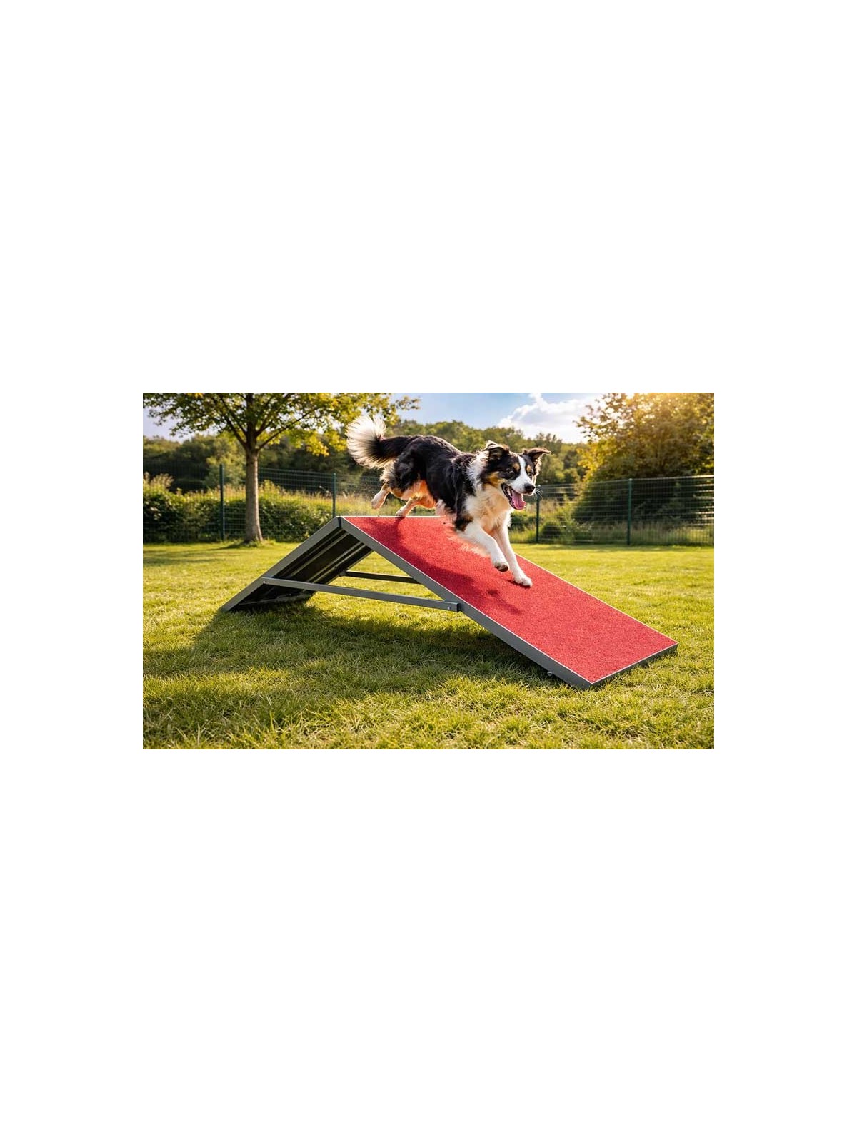 MODULE LA PALISSADE GAMME DOGGYPARC