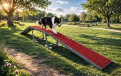MODULE LA PASSERELLE GAMME DOGGYPARC
